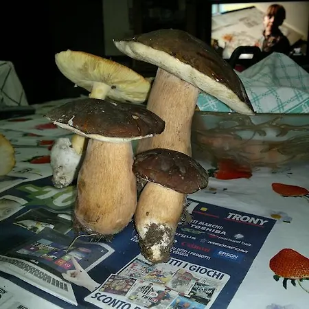 Poggio Mario Çiftlik konaklama