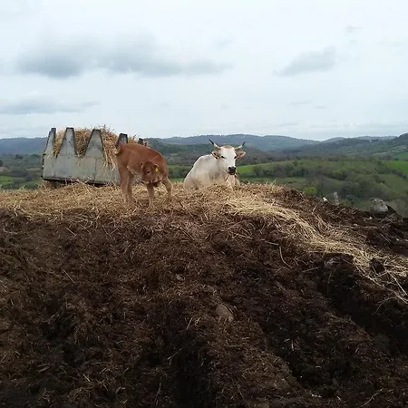 Poggio Mario Çiftlik konaklama