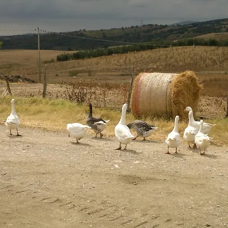 Çiftlik konaklama Poggio Mario Saturnia