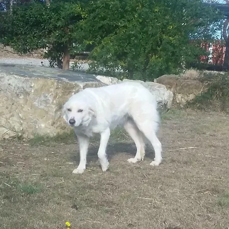 Çiftlik konaklama Poggio Mario Saturnia